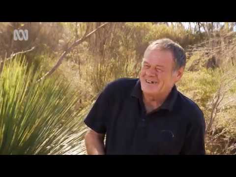 Historical Footage of the Eucalyptus Oil Industry on Kangaroo Island