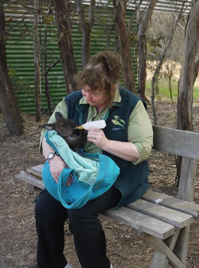Rosie, Emu Ridge Eucalyptus oil Kangaroo Island