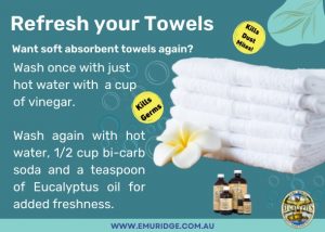 Refresh Towels