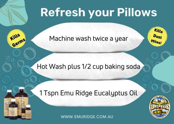 Refresh Pillow