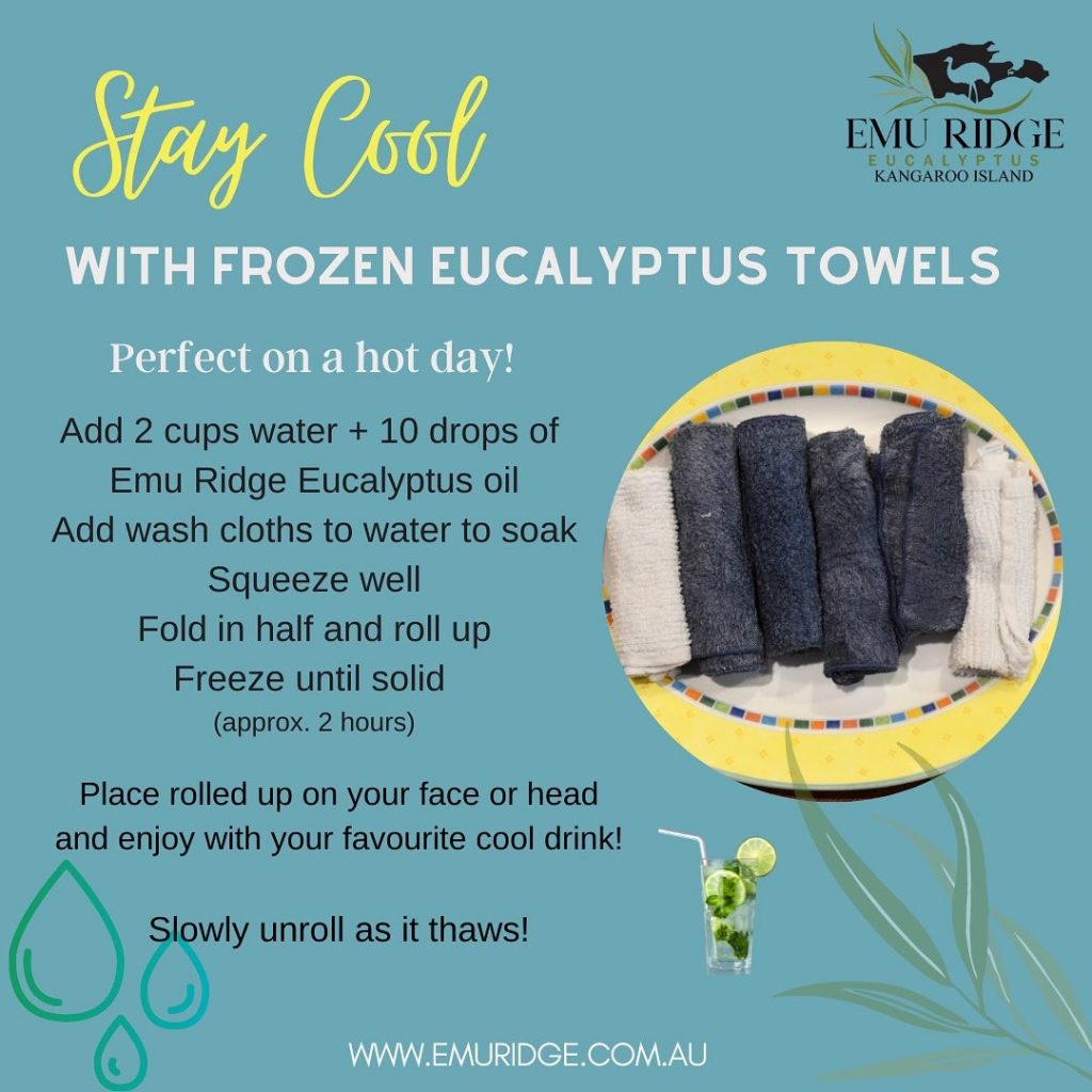 Frozen towels, Emu Ridge Eucalyptus oil Kangaroo Island