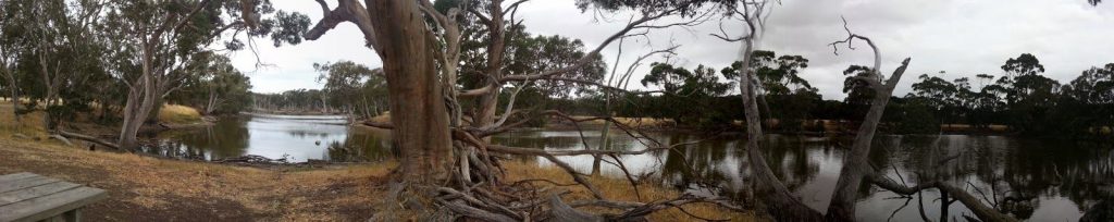 Duck lagoon, Emu Ridge Eucalyptus oil Kangaroo Island