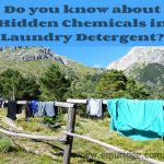 Detergent, Emu Ridge Eucalyptus oil Kangaroo Island