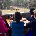 Food, Emu Ridge Eucalyptus oil Kangaroo Island