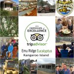 Tripadvisor, Emu Ridge Eucalyptus oil Kangaroo Island
