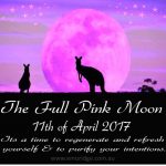 Pink Moon, Full Moon, Emu Ridge Eucalyptus oil Kangaroo Island