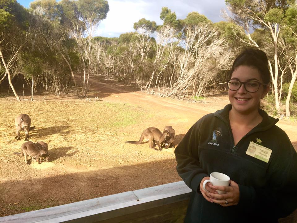 Tourism, Emu Ridge Eucalyptus oil Kangaroo Island