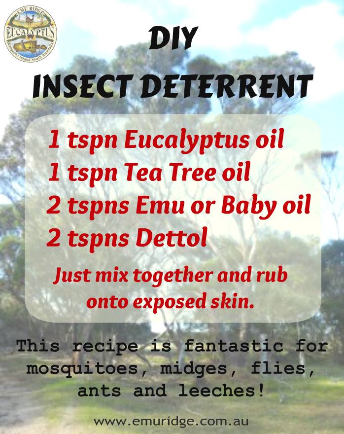DIY Insect Deterrent Recipe, Emu Ridge Eucalyptus oil Kangaroo Island