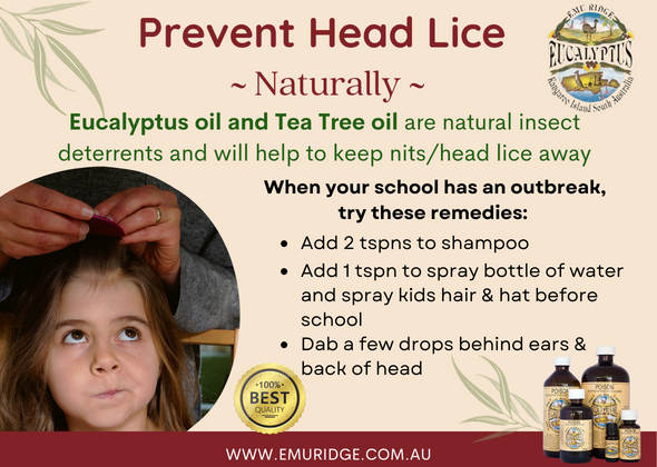 Emu Ridge 100% Essential Oils - Eucalyptus and Tea Tree for treatment of  head lice