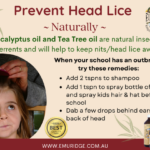 prevent head lice naturally! (590 × 420px)