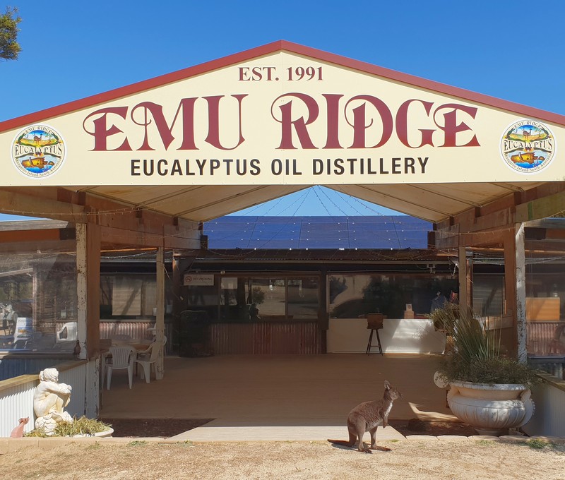 Store exterior, Emu Ridge Eucalyptus oil Kangaroo Island