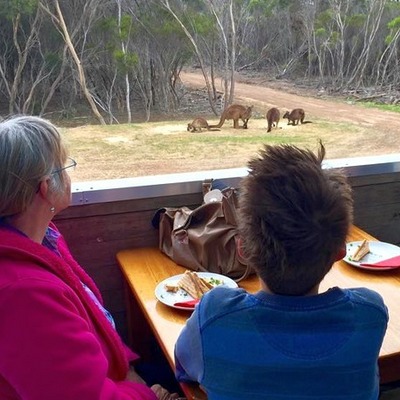 Gluten Free & Vegan options on Kangaroo Island, Emu Ridge Eucalyptus oil Kangaroo Island