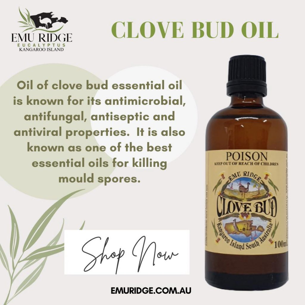 Clove bud oil, Emu Ridge Eucalyptus oil Kangaroo Island