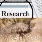 Omegas & The Emu Oil, Emu Ridge Kangaroo Island
