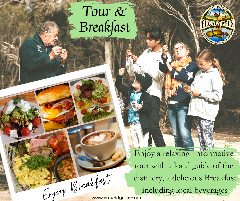 tour & breakfast (1)
