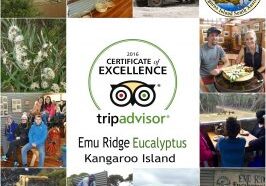 Tripadvisor, Emu Ridge Eucalyptus oil Kangaroo Island