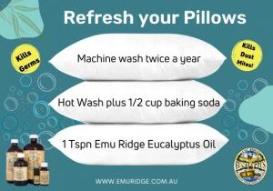 Refresh Pillow, Emu Ridge Eucalyptus oil Kangaroo Island