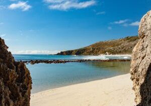 Best beach in Australia, Stokes Bay, Emu Ridge Eucalyptus oil Kangaroo Island