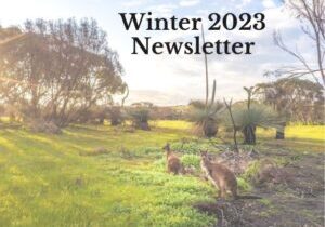 Winter 2023 Newsletter, Emu Ridge Eucalyptus oil Kangaroo Island