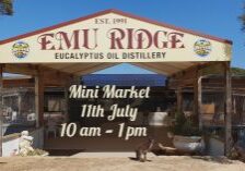 Mini Market, Emu Ridge Eucalyptus oil Kangaroo Island